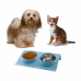 Comedouro e Bebedouro Duplo Para Gatos - ABS Ecológico e Inox - Design Ergonômico